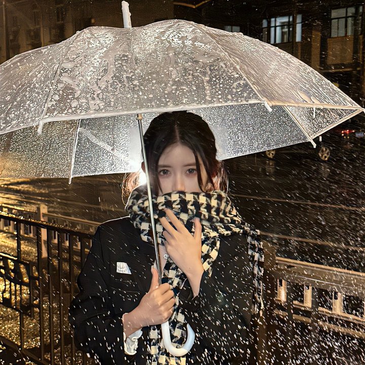 夜凛神探第一季