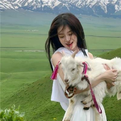 淘气飞行猴